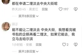 “二埋汰”竟成了东北虎里最红的仔！网友喊它上中央大街走走图片
