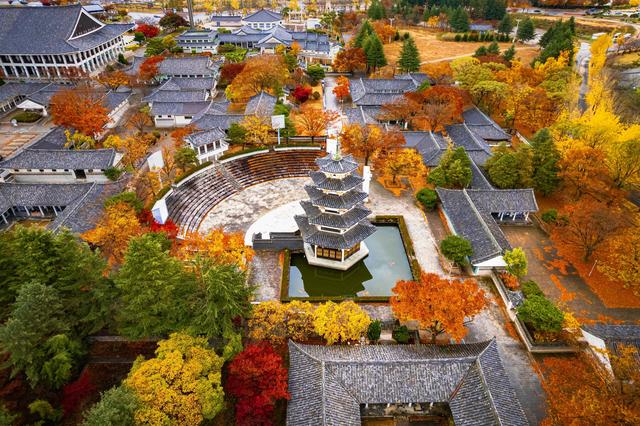 团队免签+APEC会议助力，赴韩旅游市场加速恢复