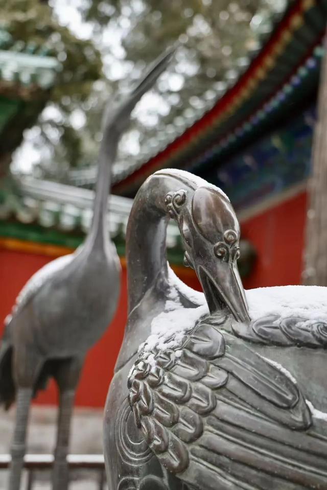 京城初雪！一大波雪景美图来了