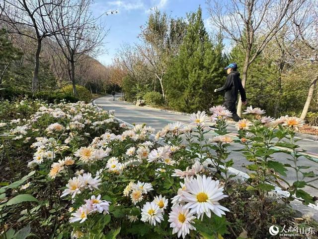 行进中国丨绿道蜿蜒处，山色入城来