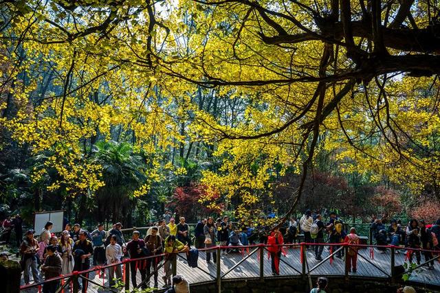 别再瞎找了！这张“黄金版图”全是惊喜