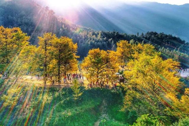 即日起至春节，永州人游盐城64家景区免票！还有免费鸡蛋饼领！