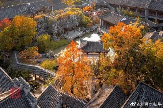 这个元旦假期，把时光“浪费”在秦淮最美的园子里~