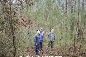 麻阳河保护区：党建赋能“六实招” 筑牢森林防火“绿色墙”图片