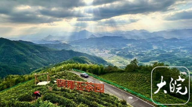 旌德：四好农村路助茶旅融合