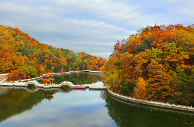 这里红叶进入“巅峰”，抓紧时间，真的会落！