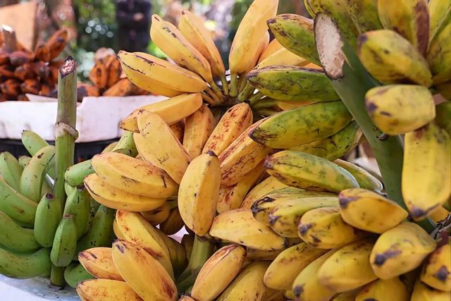 我的家乡我来赞｜秘境梭山