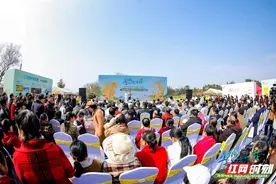 “星城无处不飞花” 长沙发布4条春季文旅线路图片