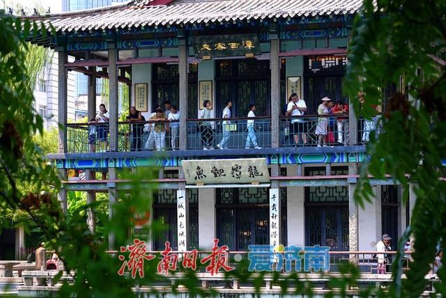 一年四季 泉在济南丨泉涌潺潺迎处暑 五龙潭畔游人乐