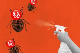 它是第一种城市害虫，钟于人类24万年，挺过多次围剿后仍偶尔引发骚乱图片