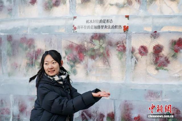 黑龙江哈尔滨：“冰封玫瑰”限定回归