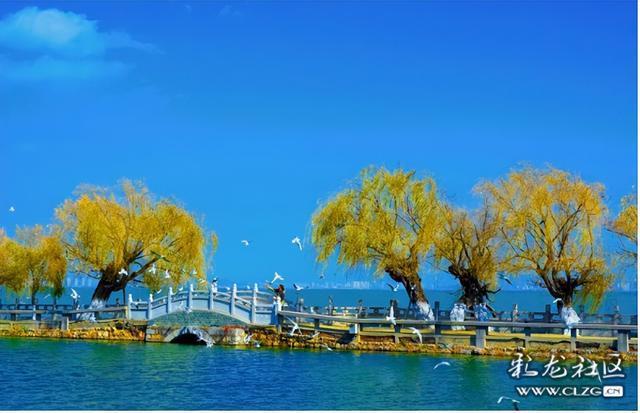 昆明小众人少看滇池喂海鸥的宝藏打卡地