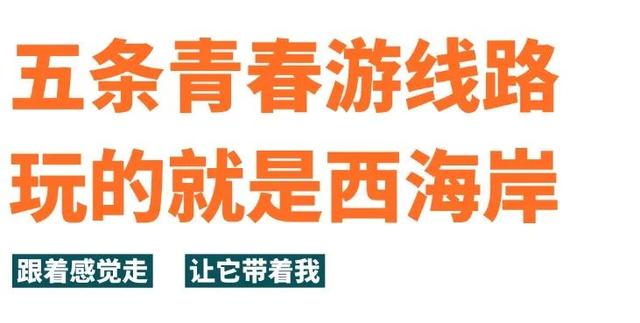 官宣！独宠大学新生！免费游青岛西海岸新区！