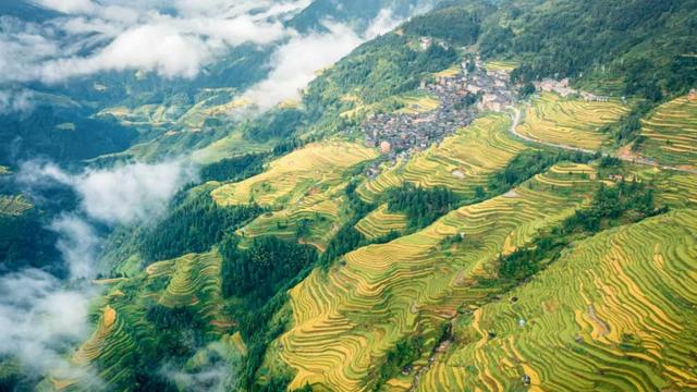 推动冬春旅游“淡季不淡”!贵旅集团赴大湾区推介加榜梯田、岜沙苗寨