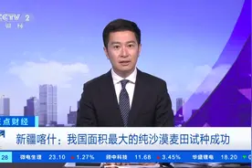 亩产达260公斤！我国面积最大的纯沙漠麦田试种成功图片