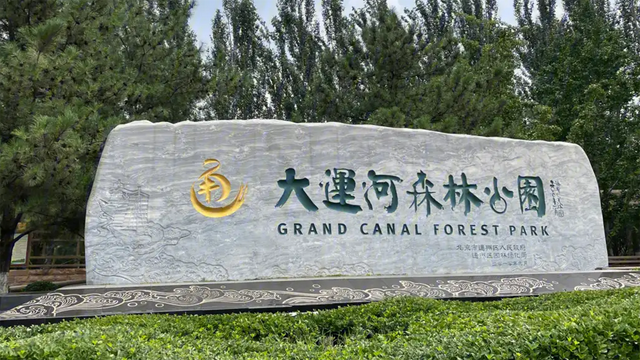 行走京华大地 感悟思想伟力｜城市绿心·大运河森林公园