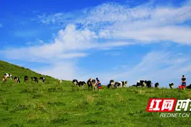 城步：景秀物丰乡村美 业兴人和面貌新图片