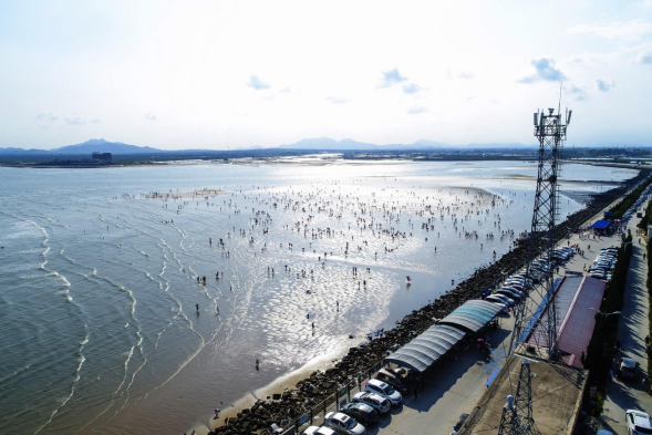 日照山海天：当数字游民遇上28公里海岸线，工作也带着海风滤镜