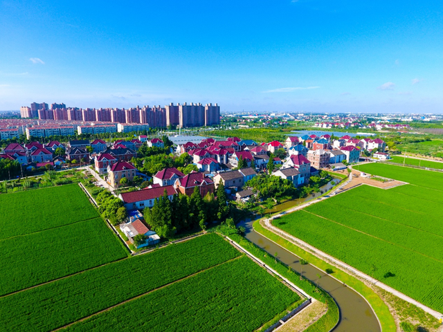 旅超·域见宝山｜跟着非遗美食游宝山，让地道风味，做你的最佳旅行向导