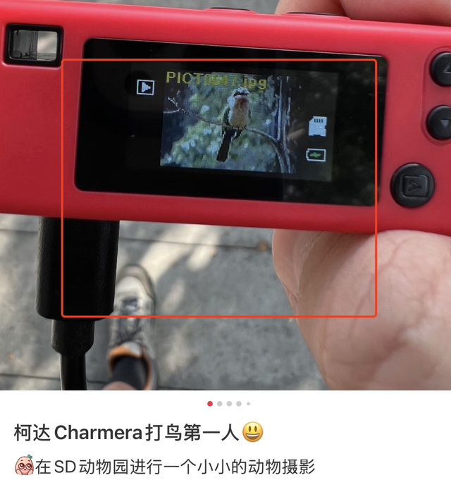 200块的塑料盲盒，怎么成了当下最火的“出片神器”