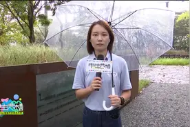 土壤研究院：一坯土的修复保护图片