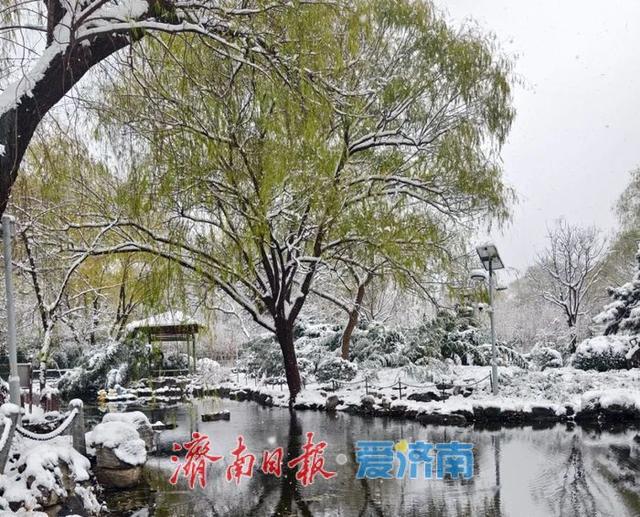 一年四季 泉在济南丨雪漫济南府 九景入画来