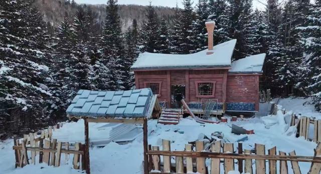 “萌主”驾到！4只巴布亚企鹅入住雪乡“童话森林”