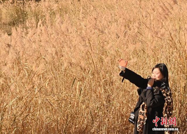 吉林长春秋景如画 市民踏叶赏秋