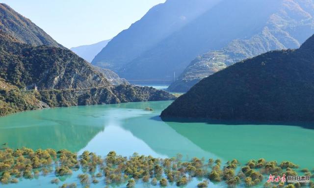 白水江遇白龙江 文县初冬藏着最动人的江河秘境
