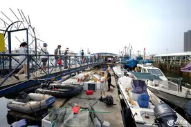 高清直击|“第一网”海鲜抢滩登陆小港码头 市民蜂拥抢购只为尝鲜图片