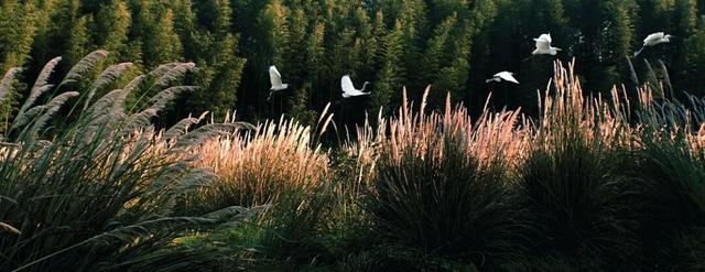 谁说冬天只有冷？龙虎山第一个不服！