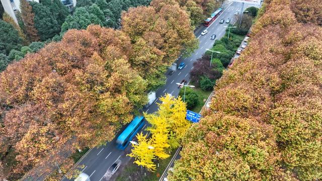 观山湖区:绿脉织城 四季变幻 绘就宜居新画卷