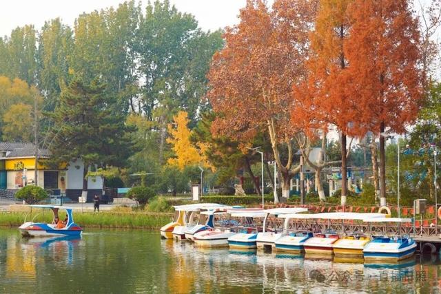 一分钟！我要知道日照这里的所有信息→