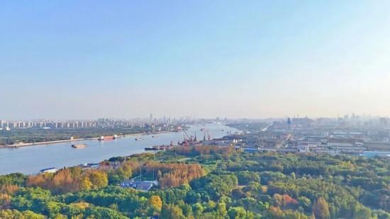 漫步这座“莫奈花园”，邂逅申城油画里的秋天