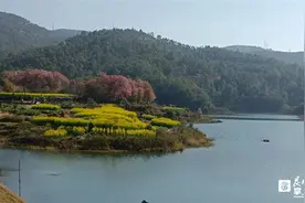 春节哪里玩? 跟着昆明公交去打卡图片
