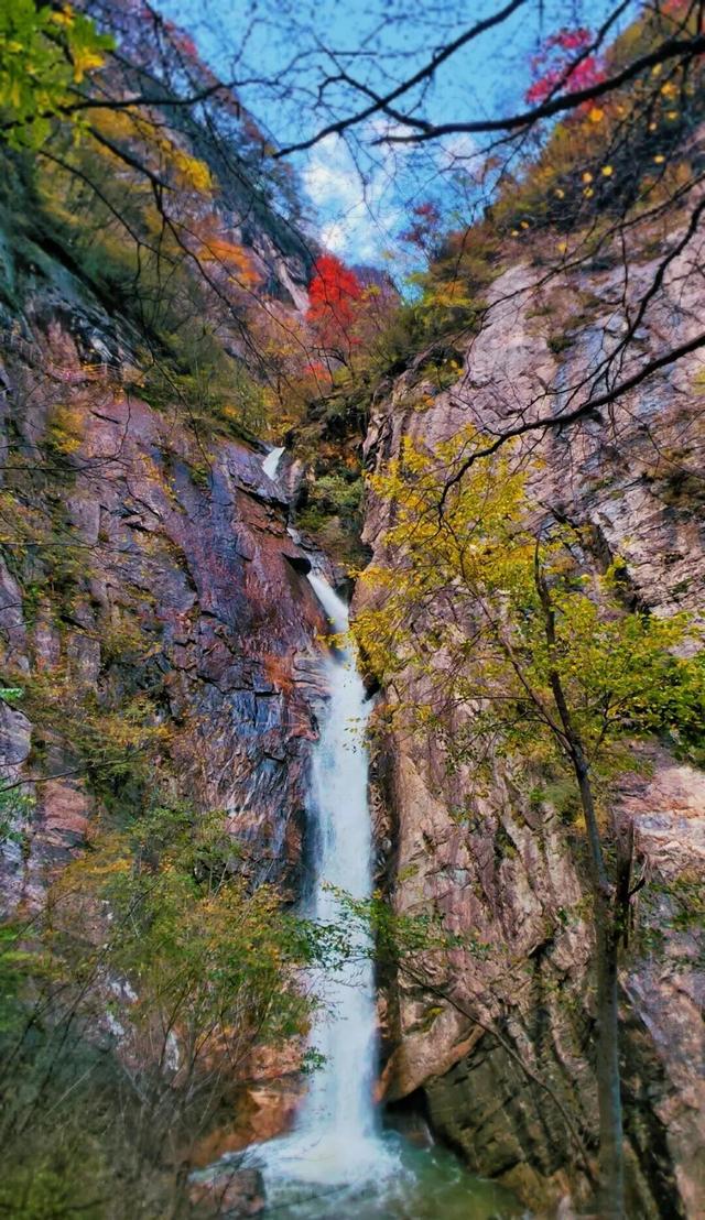 你的周末含“秋”量是多少？来秦岭测测！