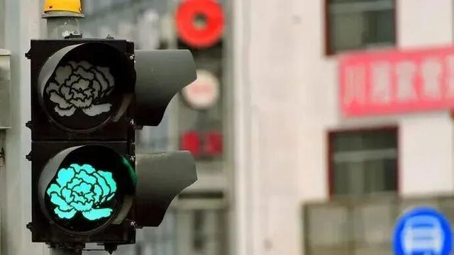 起猛了，我在洛阳被「牡丹」包围了！