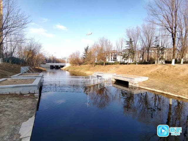 家门口的张面河大变样 清了河道建了游园