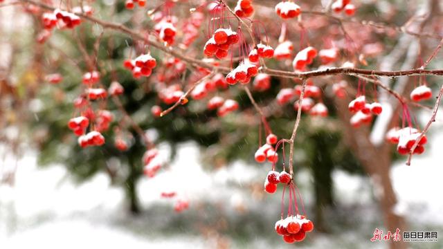 初雪落永靖 山河入画来