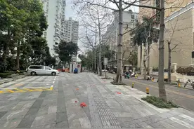这三类人群不宜食用！医生提醒市民慎用落地木棉花图片