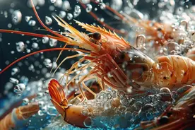 河鲜中藏着不少嘌呤“大户”！痛风患者该怎样“聪明”吃“鲜”？图片