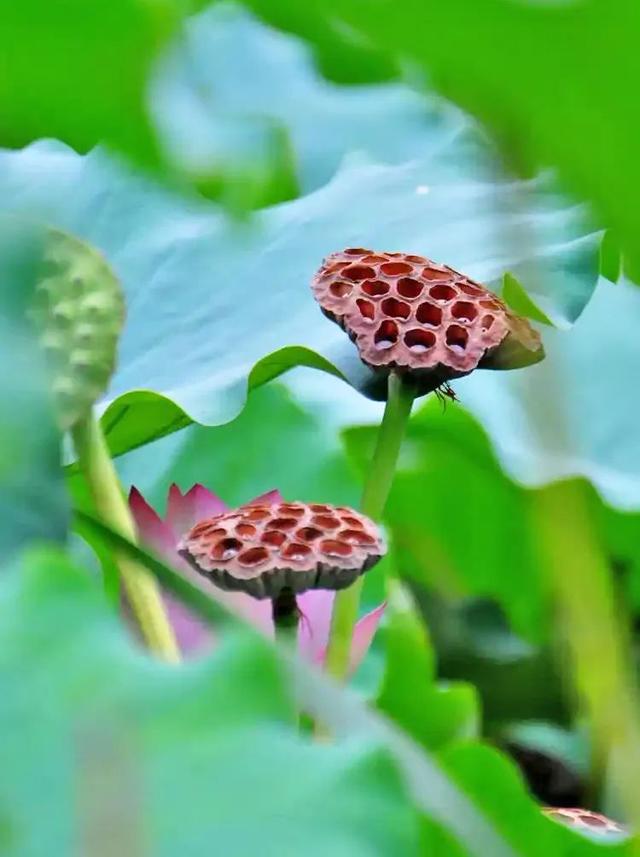 新鲜出炉！泰宁8大神仙玩法你知道几个？