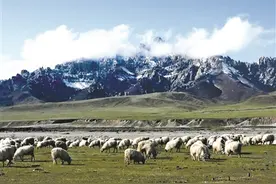 穿古越今焉支山 赪颜风韵款款来图片