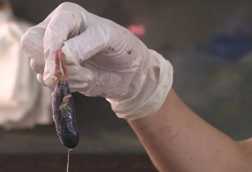 鱼的三个部位不能吃 2026年鱼的四个部位不能吃