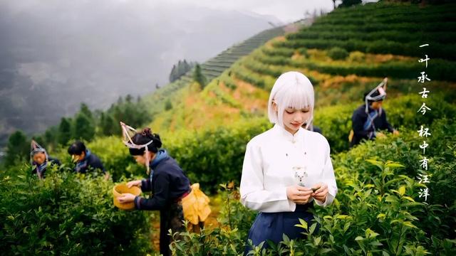 2025第30届上海国际茶文化旅游节开幕！
