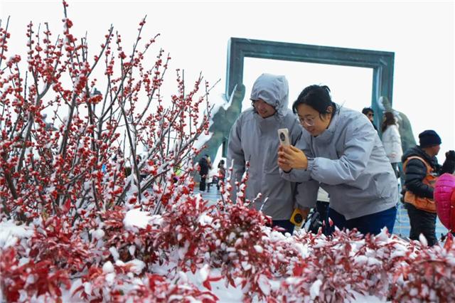 冬游威海 情满山海丨雪韵威海，如诗如画！