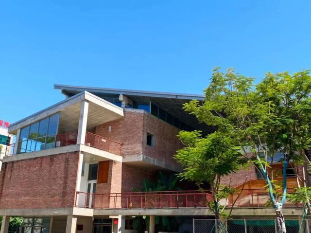 花海走起！湛江秋日限定打卡点！