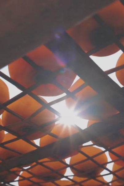 山水为席，美食作陪，一场穿越桂北的感官盛宴