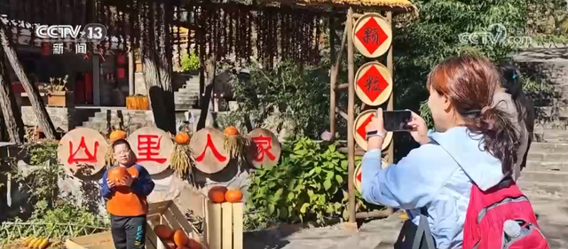 特色“秋日颜值”转化为“文旅产值” 各地“赏秋经济”热力十足