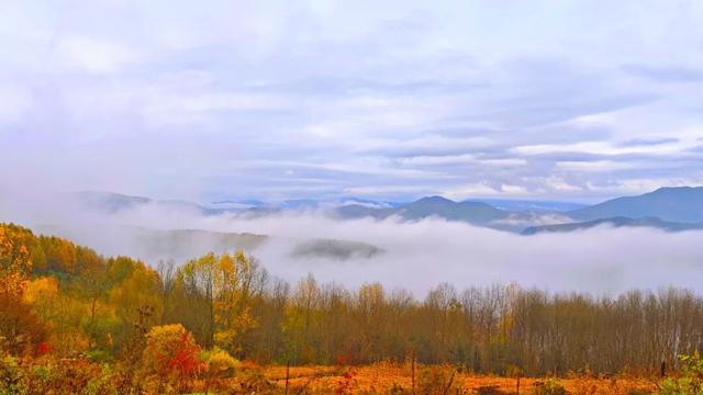 央媒看白山 | 央广网：长白县 一脚踏进秋日的温柔里